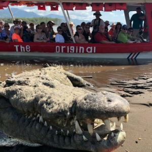 🐊 Crocodile Tour in Costa Rica – Crocodile Man Tours