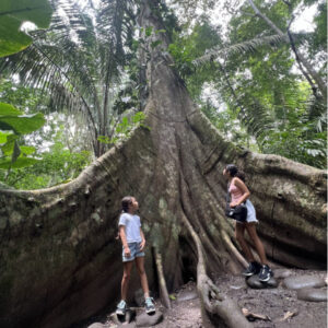 Carara National Park (min 2 pax $55 each) *Need 48 hours anticipation